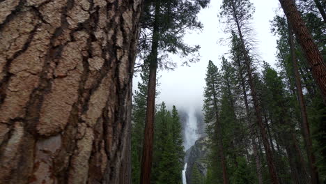 Deslizándose-Para-Revelar-Las-Cataratas-De-Yosemite-Y-Grandes-árboles-En-El-Valle-De-Yosemite-Durante-El-Día