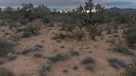 Low-aerial-of-spectacular-landscape-of-Prescott,-Arizona-before-a-storm