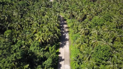 Aerial-static-shot-of-palm-tree-lined-road-with-scooter-driving-towards-camera-on-Siargao,-the-Philippines