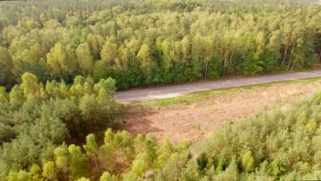 Forest-and-road-aerial-shot