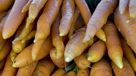 Frische-Karotten-Werden-Auf-Dem-Markt-Zum-Verkauf-Angeboten