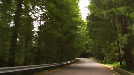 smooth-drive-on-a-winding-road-in-a-forest,-Bucegi-mountain,-Rumania