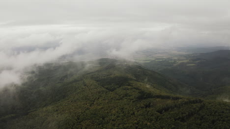 Backward-flying-over-green-forest-through-clouds,-Wide-aerial-shot,-Slovakia