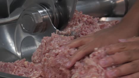 Wurst-Fleisch-Prozess-Fabrik-Produktion-Handgemacht-Geräuchert-Gekocht-Wrap-Hackfleisch-Gewürz