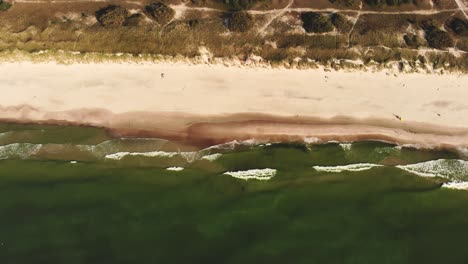 Luftaufnahme:-Aufnahme-Des-Grünen-Kiefernwaldes-In-Der-Nähe-Der-Ostsee