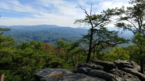 A-view-from-the-Foothills-Parkway-in-the-Great-Smoky-Mountains-National-Park-with-a-bird-flying-in-the-background