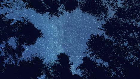 Sterne-Und-Milchstraße-In-Einer-Dunklen-Nacht-Im-Wald,-Rotierender-Zeitraffer