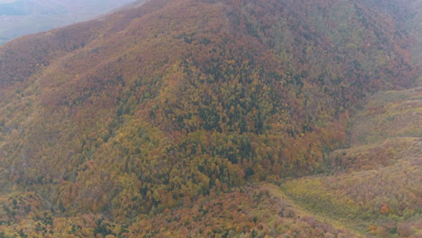 Aerial-footage,-mountains-and-forests-of-the-Balkan-Peninsula-during-autumn-with-typical-autumnal-reds,-greens-and-yellows
