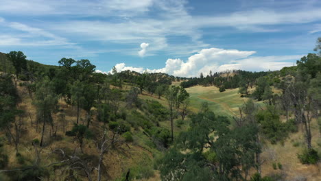 Luftaufnahmen-Einer-Riesigen-Kalifornischen-Trockengraswiese-In-Einem-Weitläufigen-Tal-Mit-Blauem-Himmel-Und-Riesigen-Cumuluswolken