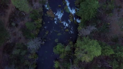 Drone-following-river-from-top-down-view-to-reveal-Burney-Falls-waterfall-and-then-pan-up-to-forest-in-Lassen-County-in-Northern-California-at-sunset