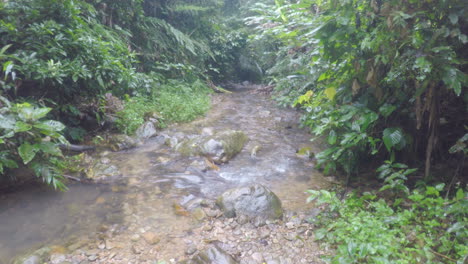 tripod-shot-a-little-stream-in-the-jungle