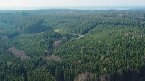 Aerial-shot-of-a-forest-in-southern-Germany