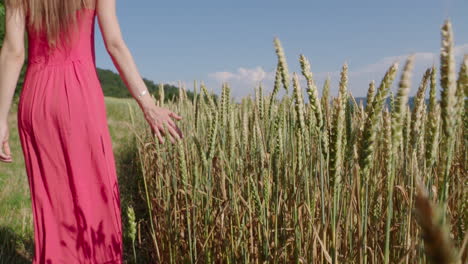 a-woman-in-a-red-dress-is-walking-along-a-grain-field