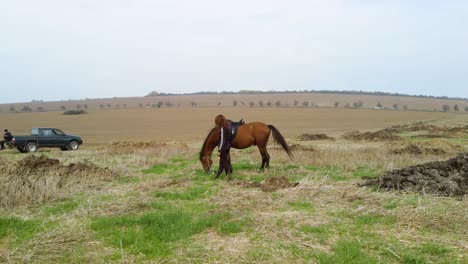 Horse-and-girl-stand-in-big-farm-field