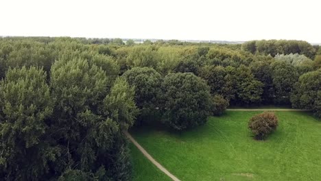Drone-Volando-Sobre-Las-Copas-De-Los-árboles-En-Un-Parque-En-Los-Países-Bajos