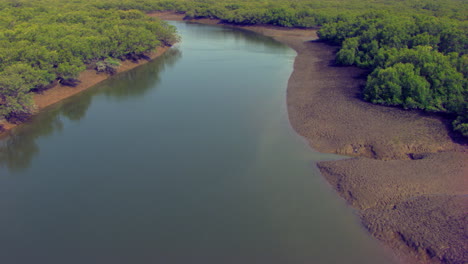 Mangrovenwälder-Bedeckten-Den-Wunderschönen-Kurvigen-See