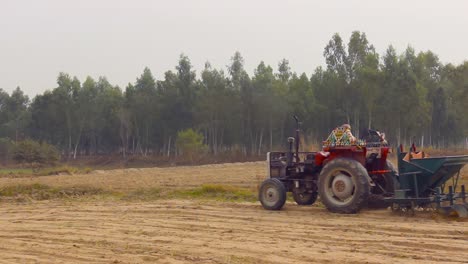 Un-Agricultor-Opera-Su-Tractor-En-El-Campo-Cerca-De-Un-Bosque-De-Eucaliptos