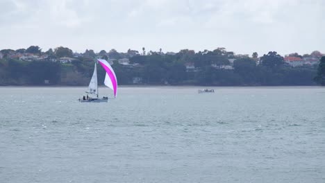 Eine-Einzelne-Segelyacht-In-Rosa-Farbe-Fährt-An-Einem-Bewölkten-Tag-Am-Hafen-Von-Auckland-Vorbei