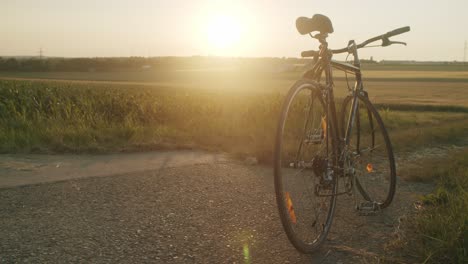 Ein-Oldtimer-Fahrrad-Steht-An-Einem-Sonnigen-Abend-Mit-Schöner-Hintergrundbeleuchtung-Am-Ende-Einer-Landstraße-In-Der-Nähe-Eines-Maisfeldes
