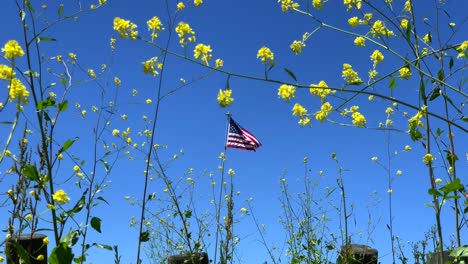 4k-60p,-Zeitlupenzoom-In-Eine-Amerikanische-Flagge,-Die-Sanft-In-Einem-Feld-Gelber-Wildblumen-Weht