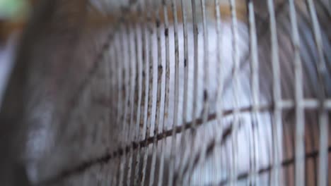 Close-up-shot-of-a-fan-spinning-in-slow-motion-with-a-dirty,-rusty,-white-grid-to-protect-it