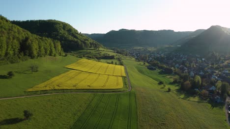 aerial-overview-of-countryside-during-golden-hour-with-yellow-flowers-in-a-small-village,-Field-of-rapeseed-in-full-flower,-spring-time-in-countryside-switzerland