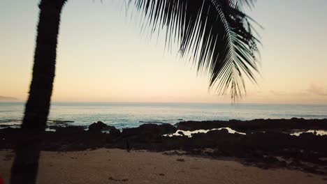 Wunderschöne-Drohnenaufnahme,-Die-Während-Eines-Farbenfrohen-Sonnenaufgangs-In-Shark&#39;s-Cove,-Oahu,-Hawaii,-Ganz-Dicht-Unter-Palmen-Fliegt