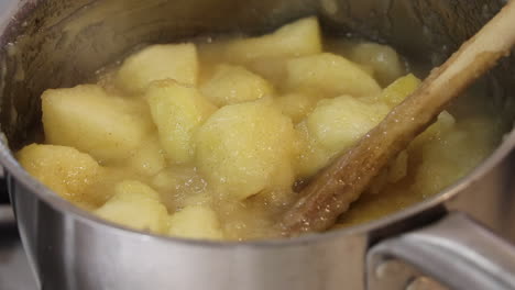 Close-up-of-cooking-apples-dusted-with-ground-cinnamon,-stewing-in-a-pan,-bubbling-gently-with-steam-coming-off-and-a-wooden-spoon-used-for-stirring