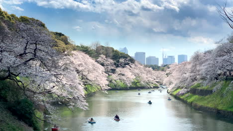 Panoramablick-Auf-Den-Kaiserpalast-Mit-Kirschblüten,-Die-Sich-Im-Wassergraben-Spiegeln,-Während-Menschen-Im-Chidorigafuchi-Park-Mit-Booten-Navigieren