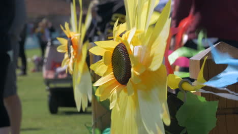 Spinning-Ornamental-Sunflowers-On-A-Sunny-Day