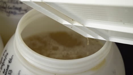 Freshly-pressed-apple-cider-being-poured-into-a-plastic-barrel-for-fermentation