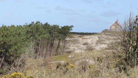 Lonely-house-on-top-of-hill-in-the-dunes-by-the-forest