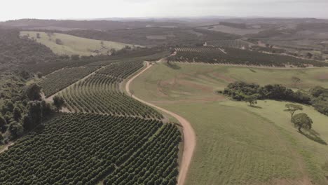 beautiful-drone-flight-over-calm-farmland