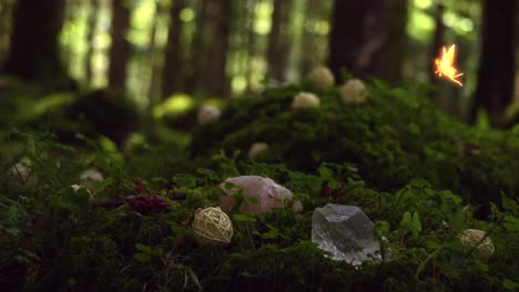 Magical-forest-with-a-yellow-glowing-fairy-flying-above-bright-green-moss-and-some-little-herbs,-with-wooden-balls-and-crystals,-with-the-forest-in-the-background,-on-a-windy-and-sunny-day