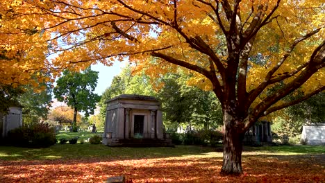 tombs-in-a-cemetery-under-yellow-autumn-leaves-4k