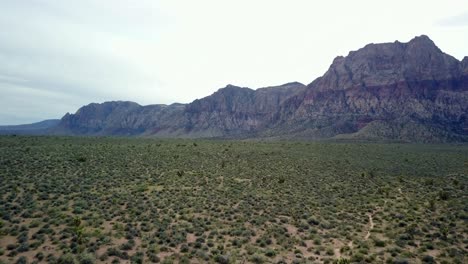 Luftaufnahmen-Von-Grasland,-Wüste-Und-Kakteen-Im-Vordergrund,-Während-Die-Kamera-In-Richtung-Der-Berge-Am-Red-Rock-Canyon-In-Nevada-Schiebt