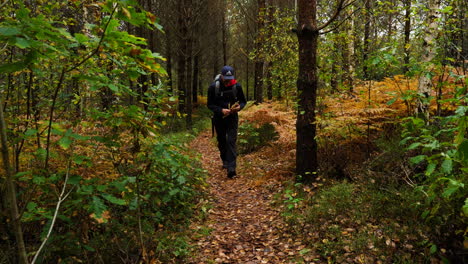 Static-shot,-of-a-man-walking-on-a-forest-trail,-on-a-cloudy,-autumn-day,-in-Birkeland,-Aust-agder,-south-Norway