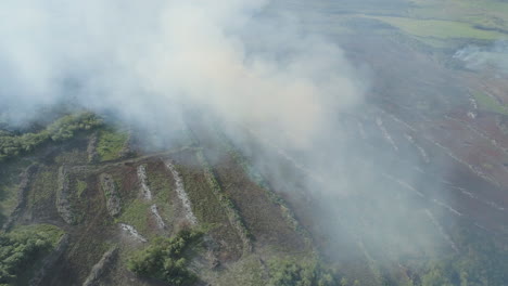 Waldbrand-Auf-Landwirtschaftlichen-Flächen-In-Der-Amazonas-Regenwaldregion-–-Brasilien-2019