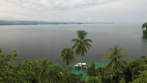 Drone-shot-moving-backwards-through-the-palm-trees-of-the-jungle-on-an-island-near-the-main-land-in-Papua-New-Guinea