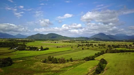 Aerial-footage-of-sugar-cane-fields-at-Yorkeys-Knob,-near-Cairns,-Queensland,-Australia