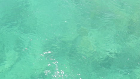 Von-Einem-Boot-Aus-über-Wunderschönes-Blaues-Wasser-In-Tobago,-Westindische-Inseln