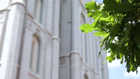 Shot-of-the-Salt-Lake-City-Mormon-Temple-from-behind-a-green-tree