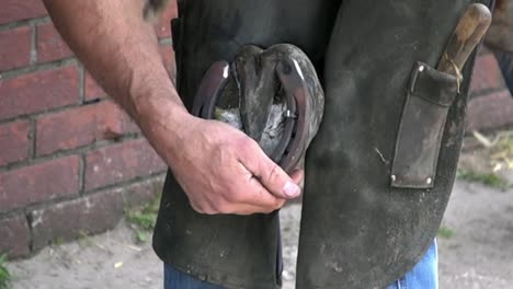 Farrier-hammering-a-nail-into-a-horseshoe-on-a-horses-hoof,-close-up-in-slow-motion