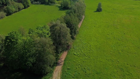 Aerial-view-of-winding-path-in-the-countryside-with-trees-leading-into-the-forest-during-summer-time