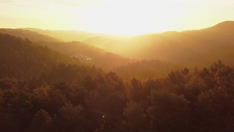 Luftaufnahme-Von-Baumkronen-In-Einem-Dichten-Wald,-Der-Bei-Sonnenuntergang-Von-Magischem-Goldenem-Licht-Durchflutet-Wird