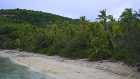 Fidschi-Strand-–-Wunderschöne-Landschaft-Mit-üppigen-Grünen-Wäldern-Und-Bergen-Am-Strand-In-Fidschi-–-Statische-Luftaufnahme