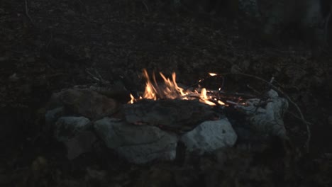Campfire-burning-wood-during-night-in-the-summer