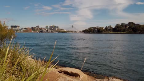 Peaceful-video-from-a-park-in-Australia-with-dancing-grass,-calm-ocean-water,-unique-bridge,-city-buildings,-and-trees
