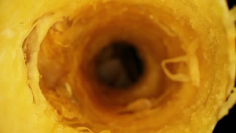 Pulling-back-through-interior-of-cored-out-gourd