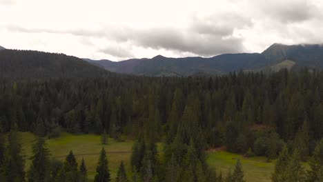 Aerial-forwards-over-forest-with-meadow-and-mountains-in-distance-during-cloudy-weather